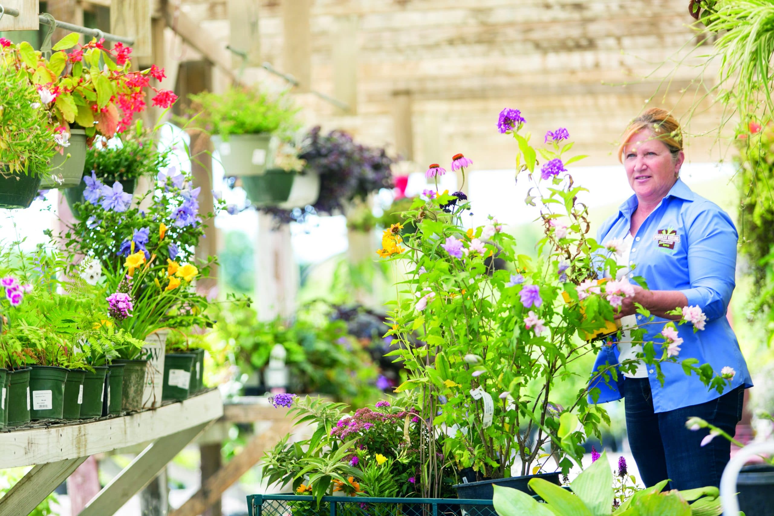 Native is our brand at Forrest Keeling Nursery! Forrest Keeling Nursery