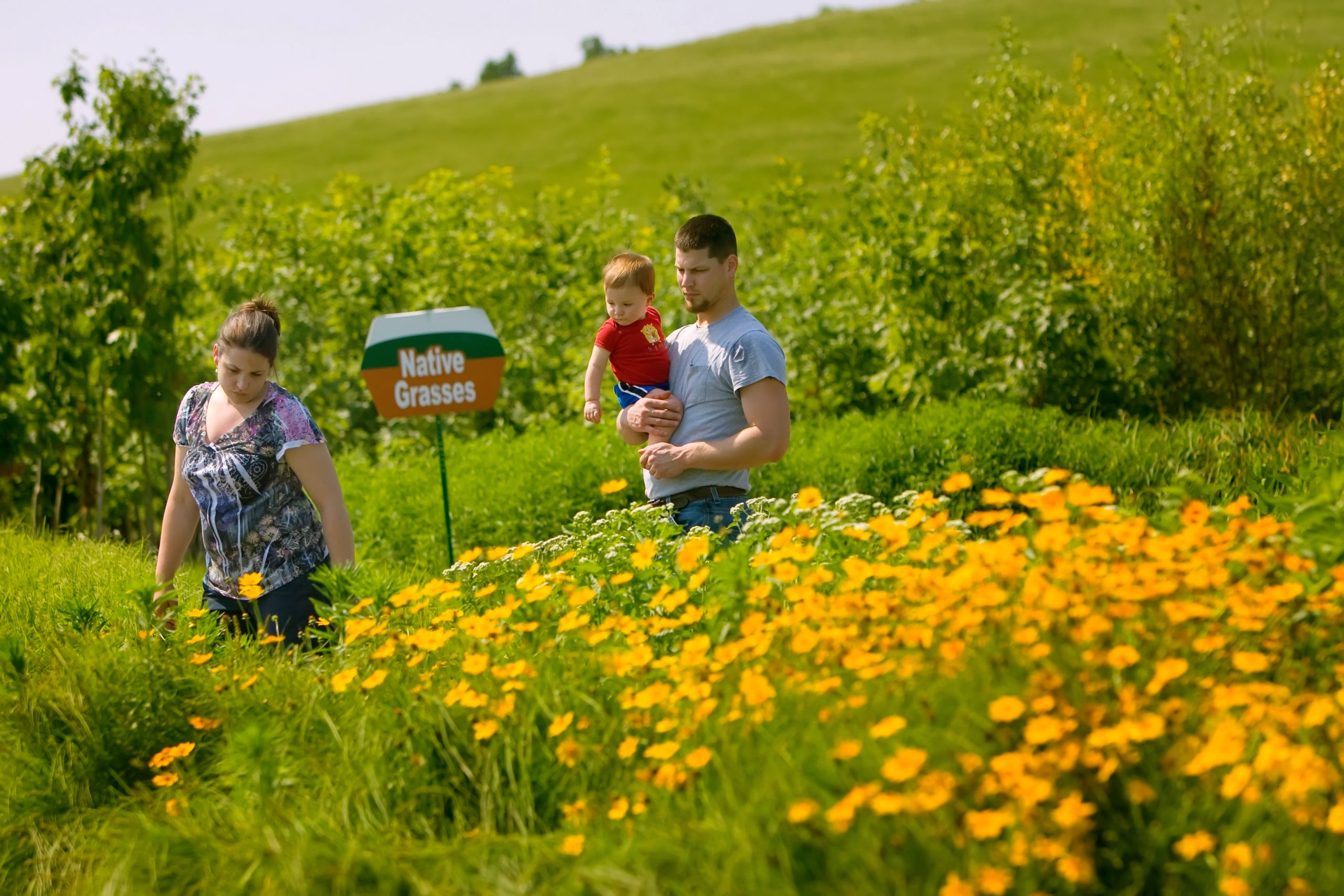 questions-to-ask-before-planting-your-native-landscape