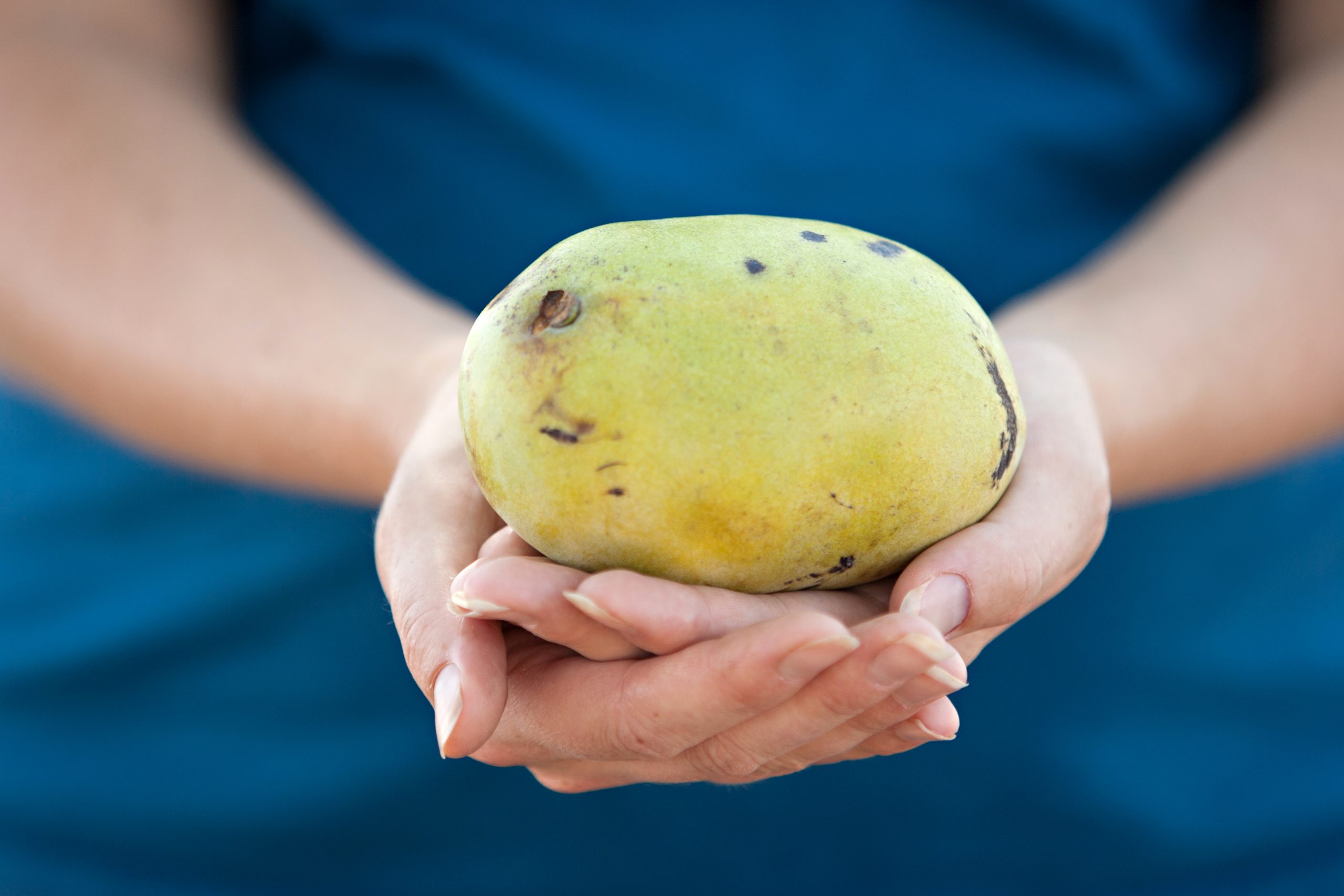 Bring in the New Year with Specialty Crops Forrest Keeling Nursery