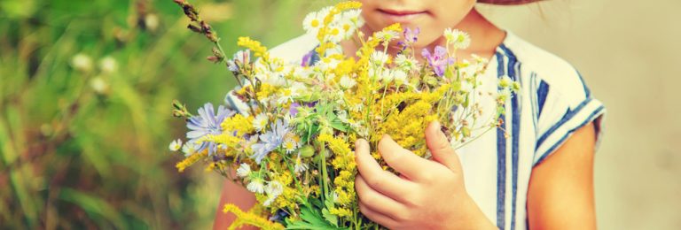 Yards Without Native Plants Can Make Us Sick