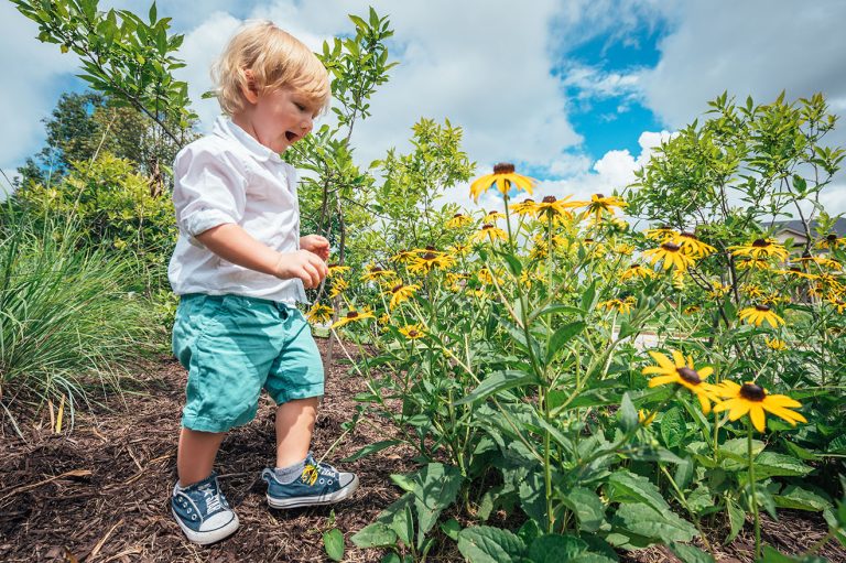 Colorful native perennials support birds and pollinators into fall and winter 