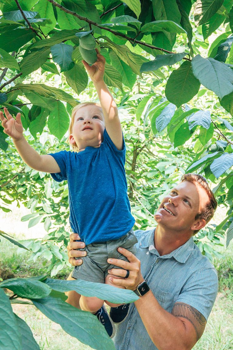 Fall is a great time to add a native orchard to your property