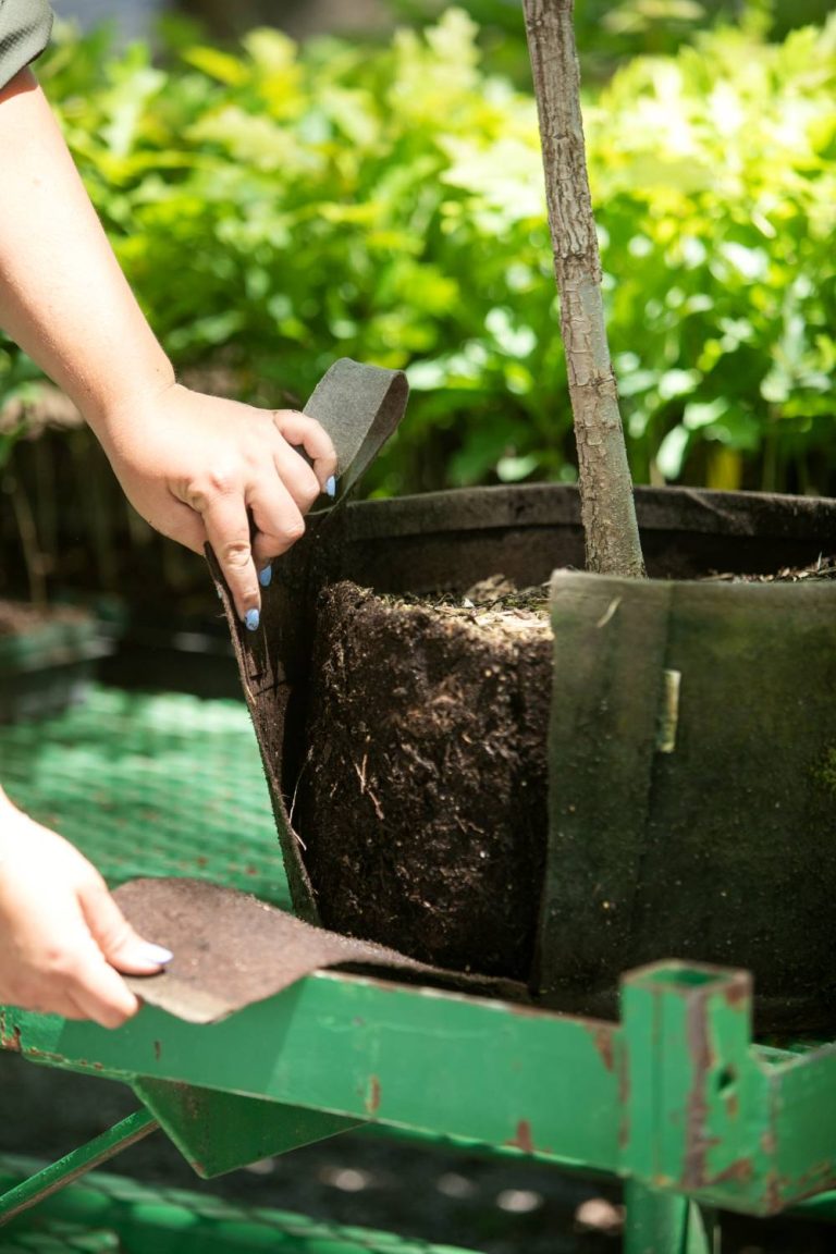 Soil is home to more than half of all life on Earth