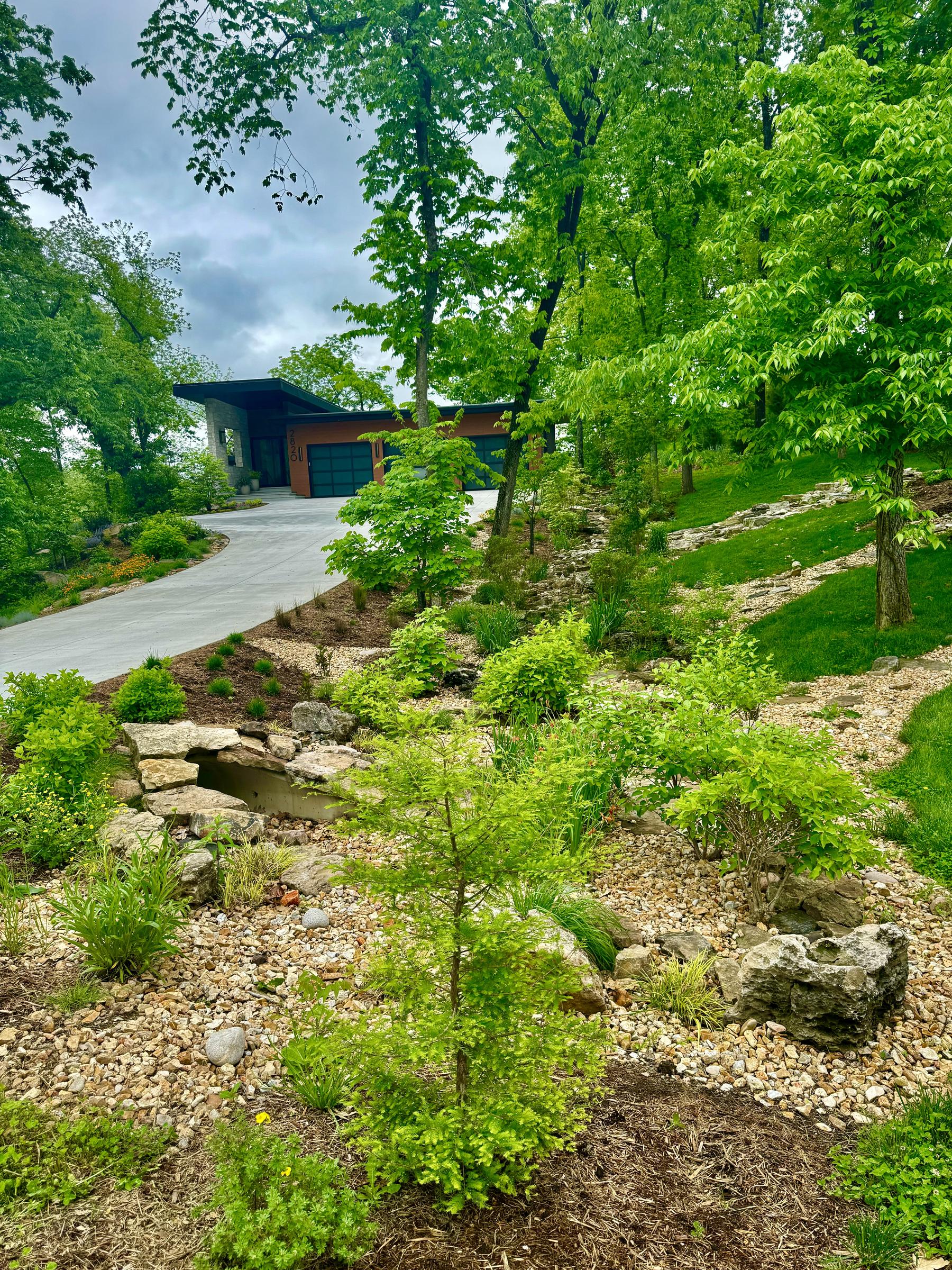 Bioswales are a key to sustainable landscape practices Forrest