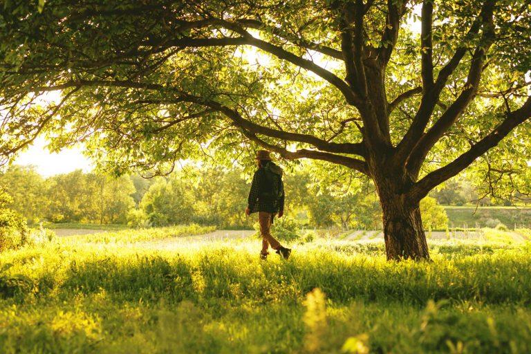 Creating Sanctuary Gardens
