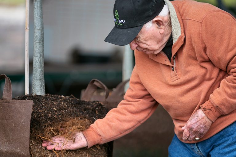 Root Establishment and RPM® Production: Why It Matters