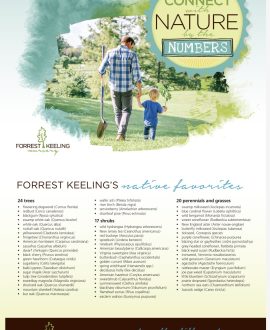 Connect with Nature by the Numbers Handout