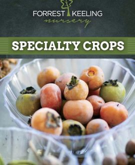 Specialty Crop Book