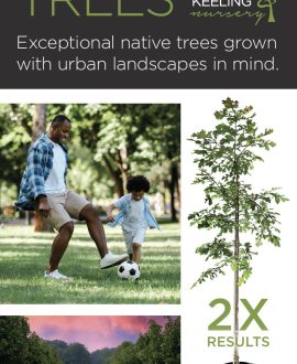 StreetSmart TM TREES